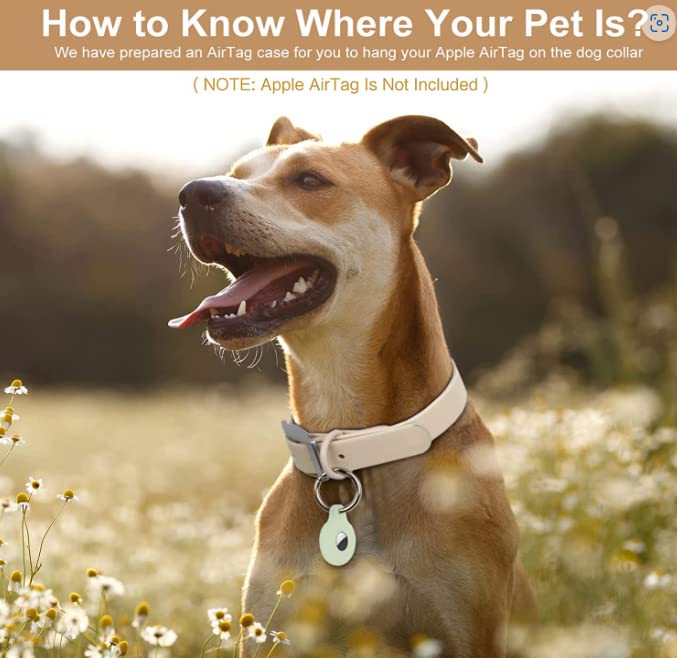 Cosyhome Adjustable Dog Collar with Airtag Holder: Durable Dog Collars, Soft Rubber Coated Webbing - Image 2