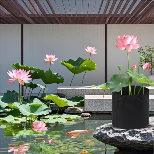 Cesta de plantas de estanque idónea para decorar terrazas con estanques y acuarios modernos 3