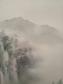 真作/青木桂岳/山水図/桐共箱付/掛軸　値下げしました。 Amazon.co.jp: 真作 青木桂岳 山水図 桐共 掛軸 交渉出来ます