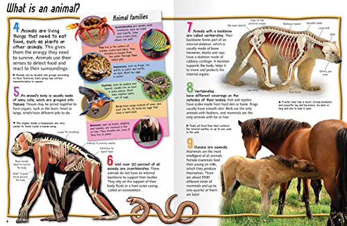 100 Facts Animal Life- Survival, Adaptation, Animal Kingdom, Educational Projects, Fun Activities, Quizzes and More! - Image 3