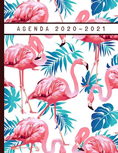 Télécharger Agenda 2020-2021: Flamants Roses - Agenda Semainier - Organisateur et Planificateur Hebdomadaire et PDF Ebook En Ligne