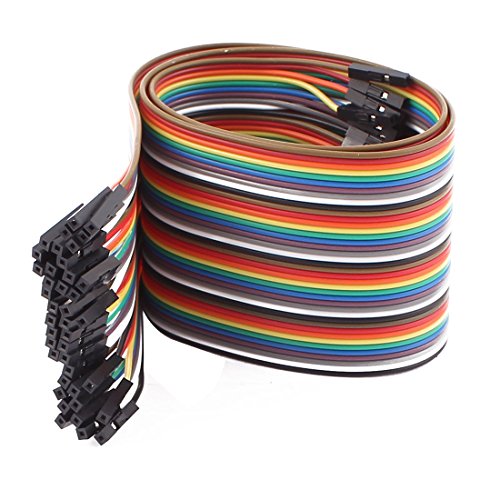 Cable Jumper hembra a hembra 40P 50cm miniatura 1
