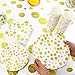 201 Piece Polka Dot Party Supply Set, Including Plates, Cups, Napkins and Tablecloth, Serves 50