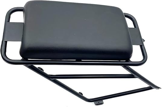 Motorcycle Rear Carrier Luggage Rest Rack Cargo Shelf Bracket Fit For Coswheel FTN T20 Dedicated