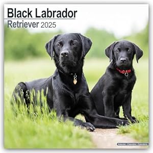 Avonside Black Labrador Retriever 2025 Wandkalender