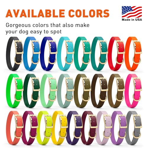 Image of Viper Biothane Heavy Duty Waterproof Dog Collar Strong Coated Nylon Webbing w /Solid Brass Hardware Odor-Proof Easy to Clean High Performance Fits Small Medium or Large Dogs, Sage Green