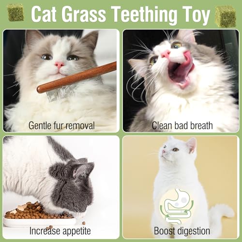Image of 60g /2.13oz Cat Grass Teething Toy Hairballs,Chew Treats for Cats,Edible Cat Chew Toys,Natural for Cats,Teeth Cleaning and Hairball Removal (60g)
