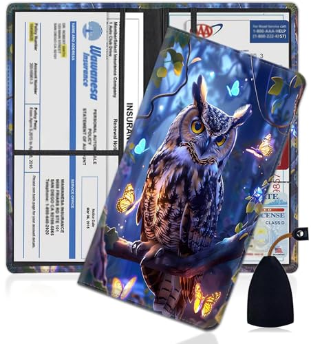 Organizador de Documentos para Auto