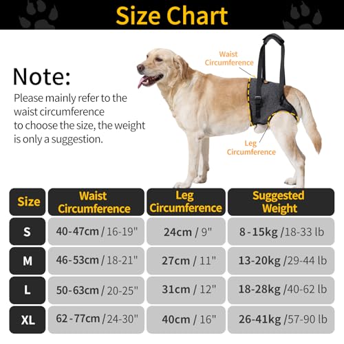 HEYWEAN Dog Lifting Harness Leg Support for Back Legs Dog Slings for Small Medium Large Dogs Leg Brace Adjustable Lift Harness Hind Legs Support Strap for Injured Disabled Elderly Dogs Walking Aid - Image 3