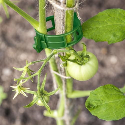 KINGLAKE 100 Pieces Clips Tomate pour Plantes,Clips pour Grimpantes,Jardin Clips en Plastique,pour légumes,Plantes,Tomates-Vert
