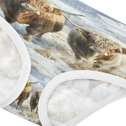 Two Highland Cows Winter Snow Toddler Girls's Underwear 2T 202b86193