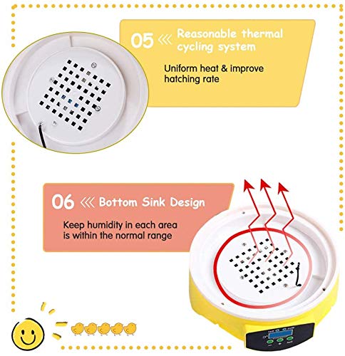 WXHN 7 Eier Digital Inkubator, Mini Automatische Hühnerente Gans Vögel Brutmaschine, Sichtbar entworfene automatische… – Bild 7