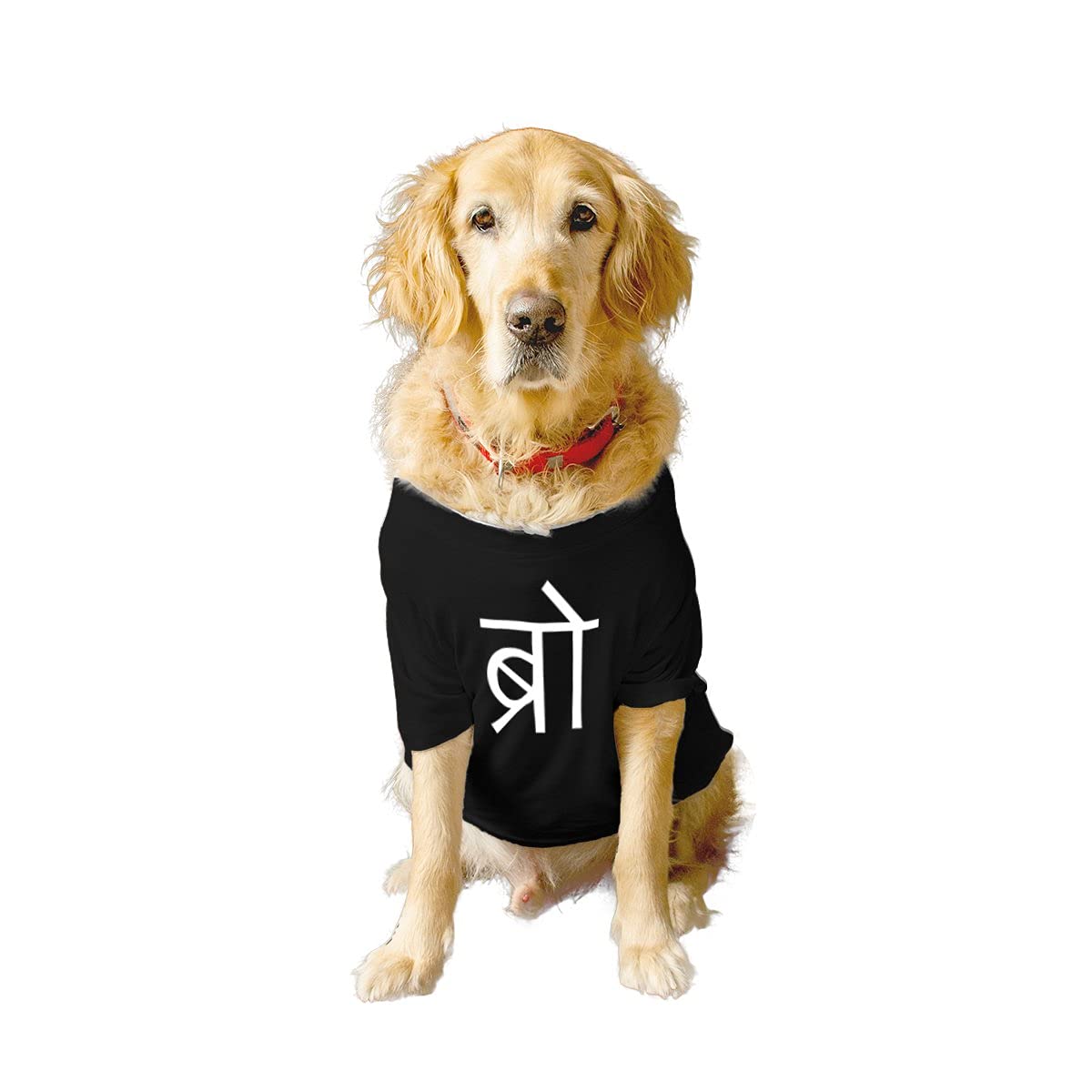 See full amazon price history chart for Ruse Basic Crew Neck Desi Bro Printed Half Sleeves/Apparel/Clothes/T-Shirt Gift for Dogs.Colour-Black/Small (Apso, Shih Tzu etc.) Ruse Basic Crew Neck Desi Bro Printed Half Sleeves/Apparel/Clothes/T-Shirt Gift for Dogs.Colour-Black/Small (Apso, Shih Tzu etc.) (B09799PN2X) Amazon Price History, Amazon Price Tracker