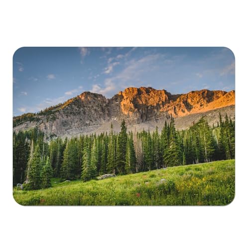 Sets de table liège grand format protège table contre taches paysage montagne