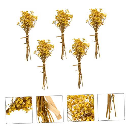 Ramo seco DIY Gypsophila 5 pcs para decoración miniatura 6