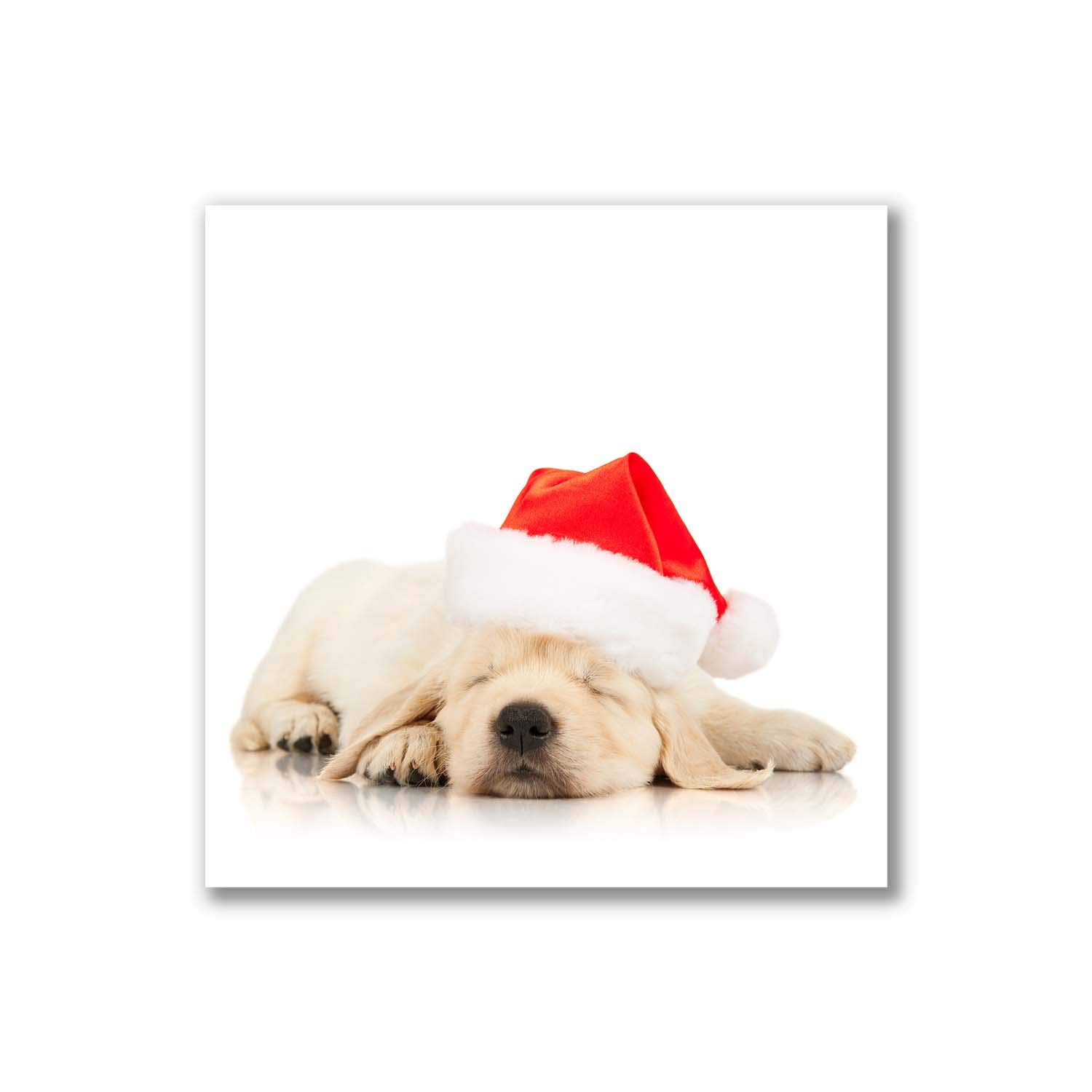 Tirages sur Toile Noël Tulup Chiot - Idée Cadeau Peinture sur Toile pour Décoration d'Hiver