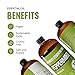 Lab Bulks Essential Oil Peppermint Essential Oil, 16 oz Bottle for Diffusers, House Cleaning, Candles, 1 Pack, Aromatherapy Oil