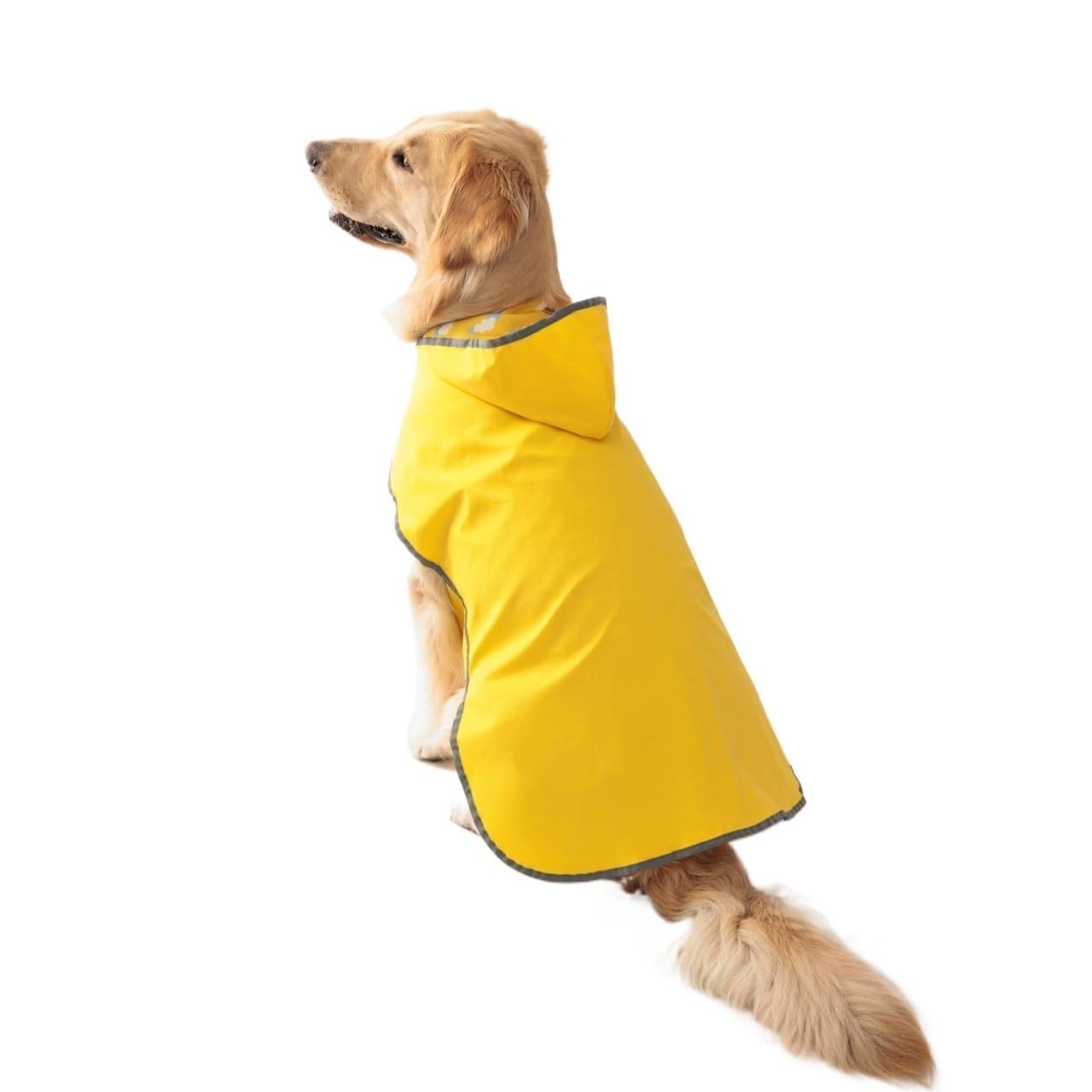 Imperméable jaune pour chiot taille S avec harnais bidirectionnel double couche