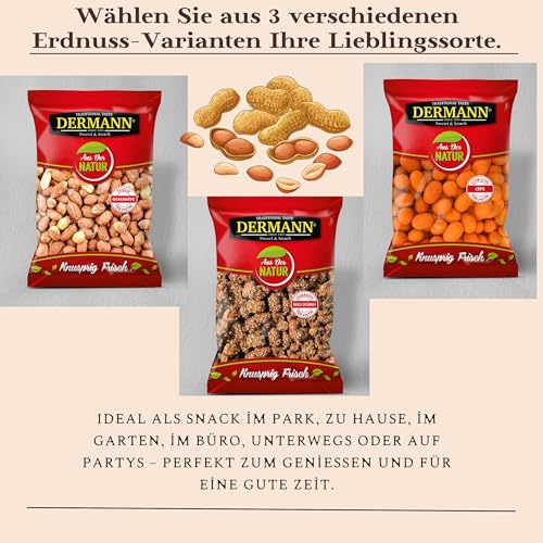 12 Stück × 200 g Erdnüsse mit Schale und Salz, geröstet & gesalzen – Knuspriger Snack für Filmabend & Freunde, Zwischendurch, Party & Büro, Familienfeiern (12 Stück × 200 g, Gesalzene Erdnüsse)