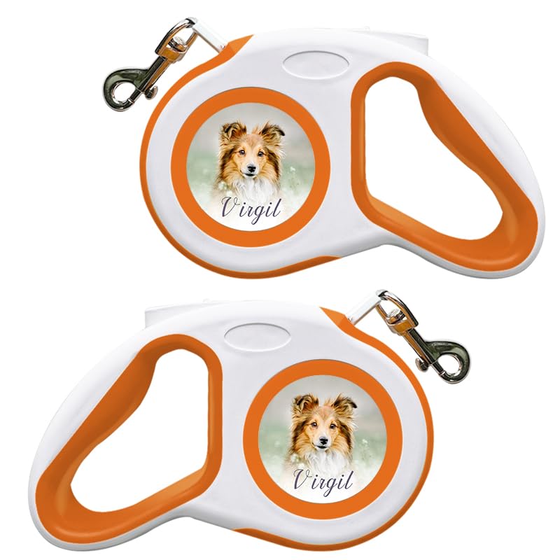New Retractable Dog Leash, Custom Pet Walking Leash for Dogs, Personalized Your Pet's Name Photo, Up to 16Ft Maximum of Extension with Self-Locking Buttons
