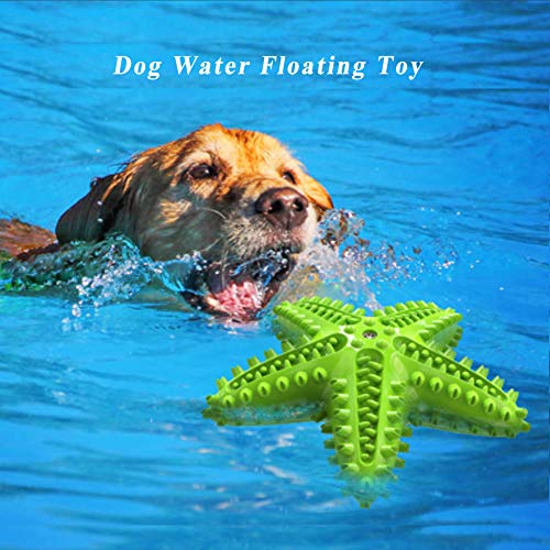 Image of Squeaky Dog Toys - Starfish Natural Teeth Cleaning Toy for Small & Medium Dogs (Green)