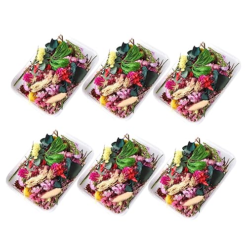 Materiales de flores secas para manualidades DIY miniatura 1