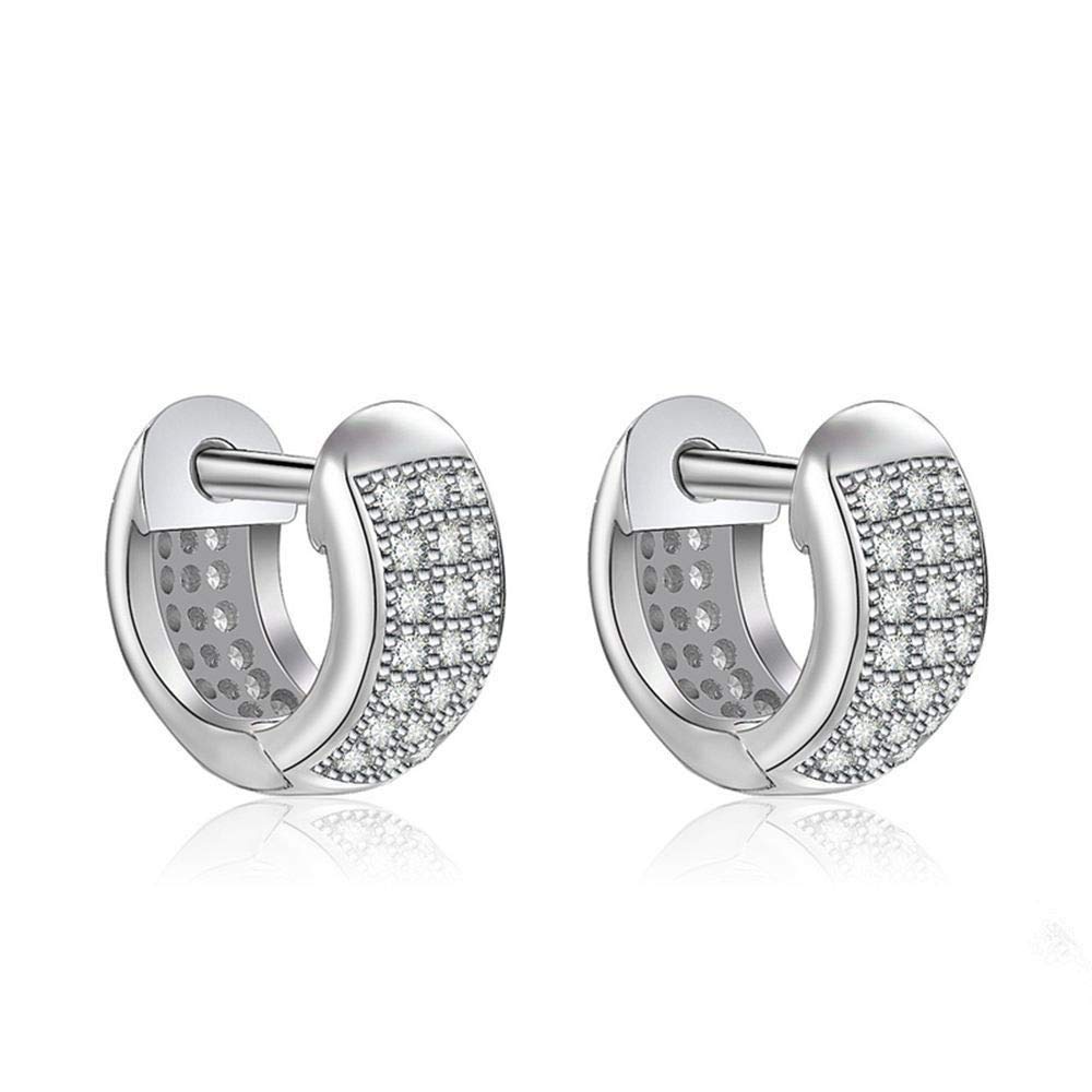 Ohrringe Hoops Bolzen 925 Sterling Silber Hoop Ohrringe für Frauen Schmuck Luxus Zirkonia Ohrpiercing Circle Hoops hohl Ohr -Modezubehör