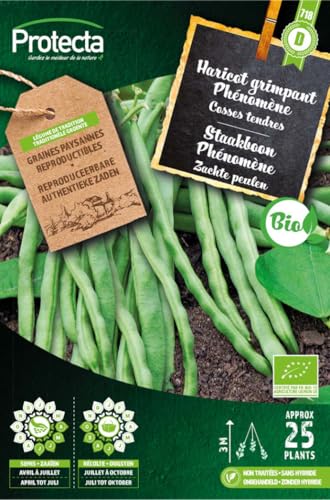 PROTECTA Semence Haricot grimpant Phénomène BIO