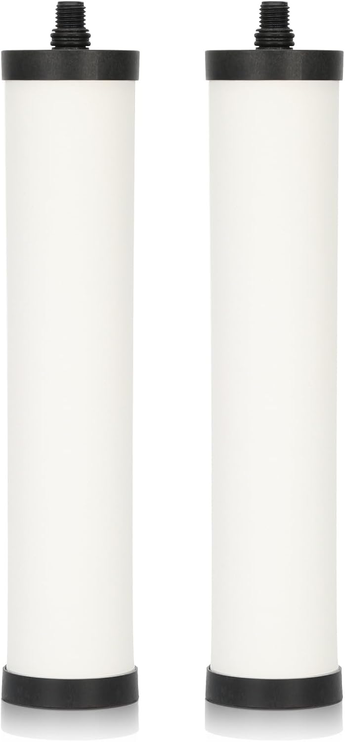 FRC06 Filter Cartridge, FRC06 Filter Replacement for Franke Water Filter, Filters Compatible with Franke FRCNSTR/FRC06 and FRCNSTR100/FRC06FRC06 Filters (2 PACK）