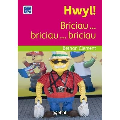 Cyfres Darllen Difyr: Hwyl! - Briciau ... Briciau ... Briciau