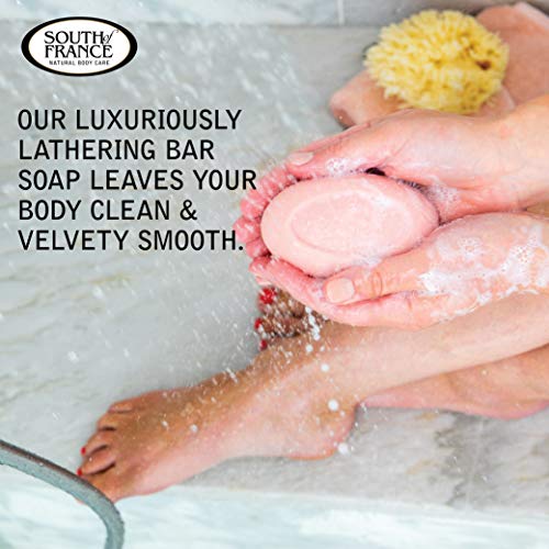 Climbing Wild Rose Clean Bar Soap By South Of France Clean Body Care | Triple-Milled French Soap With Organic Shea Butter + Essential Oils | Vegan, Non-Gmo Body Soap | 6 Oz Bar – 4 Pack #TOP3