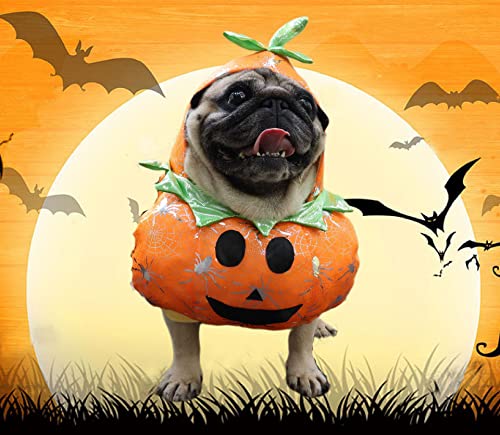 BT Bear Dog Halloween Costume, Small Dog Pumpkin Outfit Funny Cosplay Dress Up with Pumpkin Hat for Cats & Puppy to Medium Dogs (L) - Image 2