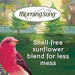 Morning Song Clean & Free Shell Free Wild Bird Food, Premium No Mess Bird Seed for Outside Feeders, 10-Pound Bag - Image 4