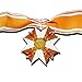 Grand Cross Rare & Early Prussian Order of The Red Eagle WW1 German Repro