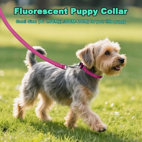 Collar Reflectante para Perros Pequeños Azul Celeste miniatura 3