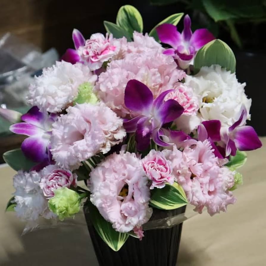 Amazon｜PURIZA ピンクトルコ桔梗とデンファレ フラワーギフト