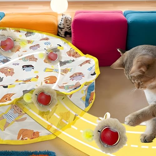 Jeu électrique avec sac et tapis pour chatons et chiens actifs