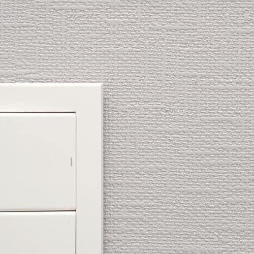 ǎ{ ǎ ̂t D O[ DF m NX RM859 10 y󒍐YiLZsz