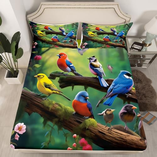 Hummingbird Fitted Bed Sheets Kids Cute Bird Fitted Sheet Queen for Adult Women Girls Cardinal Bird Bedding Sets, Rustic Style Fitted Sheets Colorful Flowers Decorative, Not Include Flat/Top