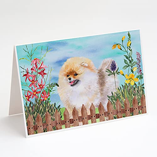 Caroline's Treasures CK1244GCA7P Pomeranian Spring Greeting Cards and Envelopes Pack of 8 Blank Cards with Envelopes Whimsical A7 Size 5x7 Blank Note Cards