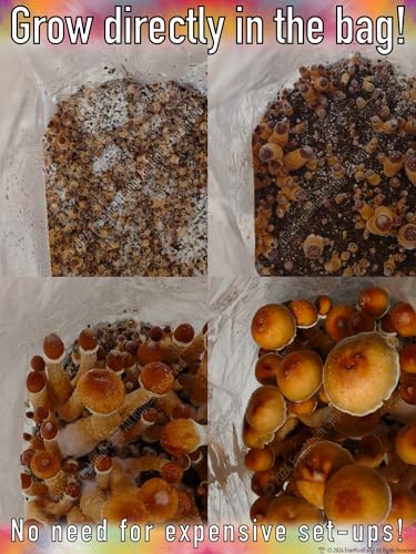 Easy Mushroom Growing Kit for Manure Loving Varieties