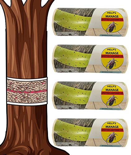 W4W, Trampa para moscas de farol manchado – 4 rollos (30 pies cada rollo) – La cinta para árbol de moscas crea una barrera adhesiva que protege los árboles de insectos nocivos – no tóxica