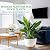 Fielda 8/10/12 Inch Self Watering Pots for Indoor/Outdoor Plants - Large Plastic Planter with Drainage Holes, Water Level Indicator & Deep Reservoir, Modern Decorative Flower Pots (White)