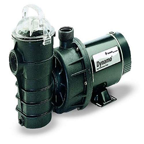 Pentair 340204 Stainless Steel Black Dynamo Two-Speed 115-Volt Pool Pump without Cord, 1-Horsepower