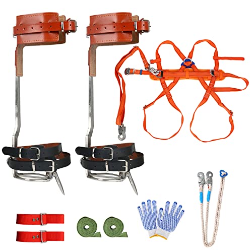 Most Wished For Items customers added to Wish Lists and registries most often in