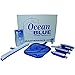 Ocean blue Inground Pool Maintenance Kit: Vacuum, Rake, Net & Thermometer 010116OB