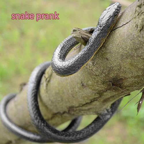 LCKLA Prank Kit Realistic Rubber Snakes Fake Roaches Surprise Spider Box Funny Gag Gifts for Halloween Party Decoration April Fools Day Adults Men Women - Image 3