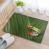 Tapis de Bain Antiderapant - Tapis Salle de Bain Absorbant l'eau Lavable en Machine,Décor animalier, Rainette aux yeux rouges se cachant dans une feuille ,Tapis de Douche en Microfibre Douce, 40x60 cm