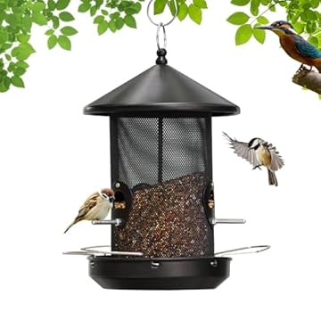 best bird feeders for mockingbirds that will attract them instantly 2 best bird feeders for mockingbirds
