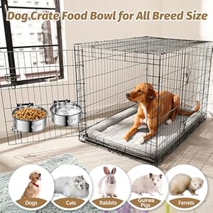 2-Pack-Dog-Crate-BowlMetal-Dog-Water-Food-Bowl-No-SpillHanging-Dog-Bowls-for-KennelDog-Crate-Water-FeederStainless-Steel-Kennel-Bowls-Mountable-for-Dogs-Cats-Bunny-Ferret-Bird - Cucciolini Doodles   2-Pack-Dog-Crate-BowlMetal-Dog-Water-Food-Bowl-No-SpillHanging-Dog-Bowls-for-KennelDog-Crate-Water-FeederStainless-Steel-Kennel-Bowls-Mountable-for-Dogs-Cats-Bunny-Ferret-Bird